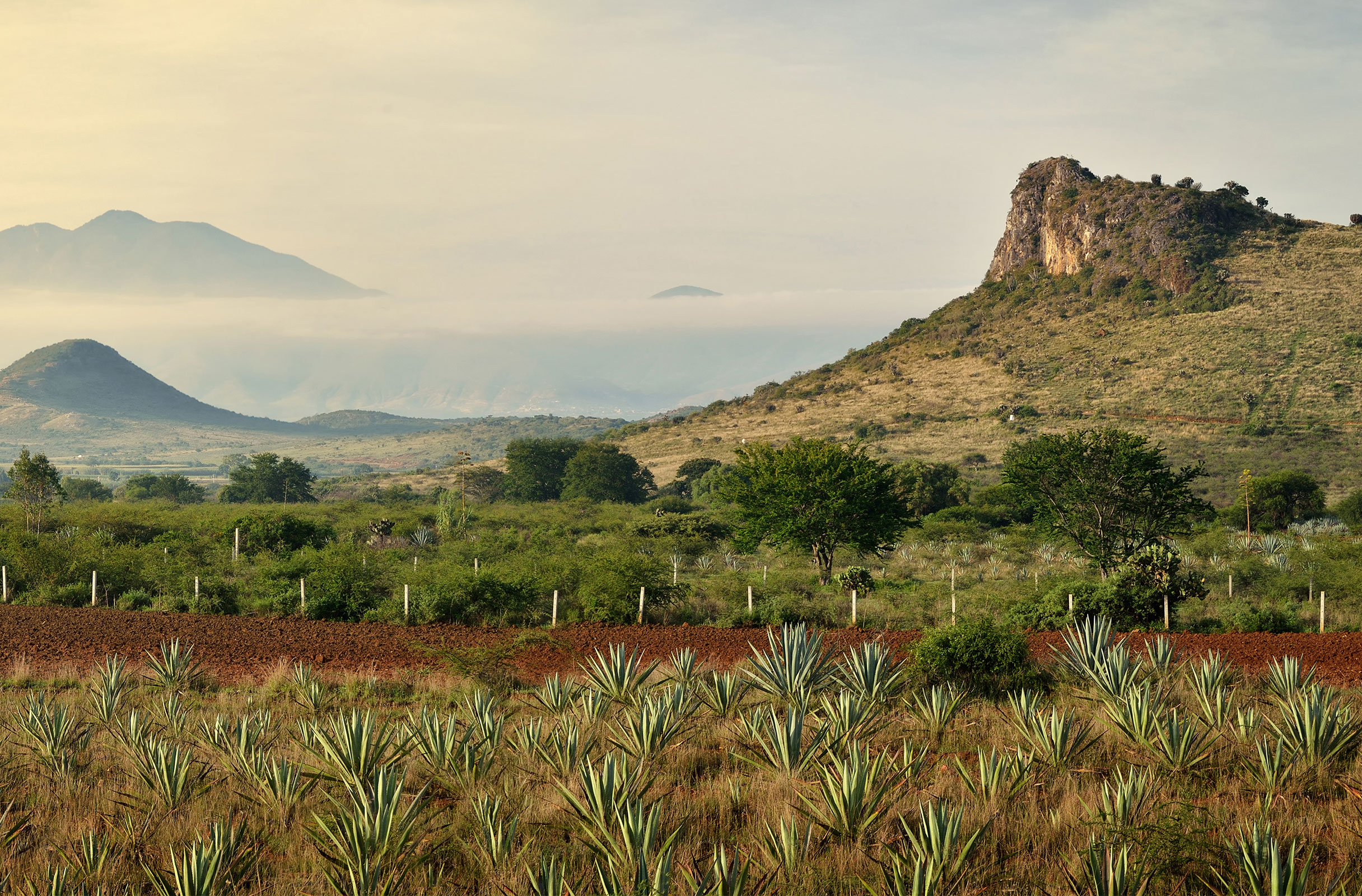 Background of Mexico ranch