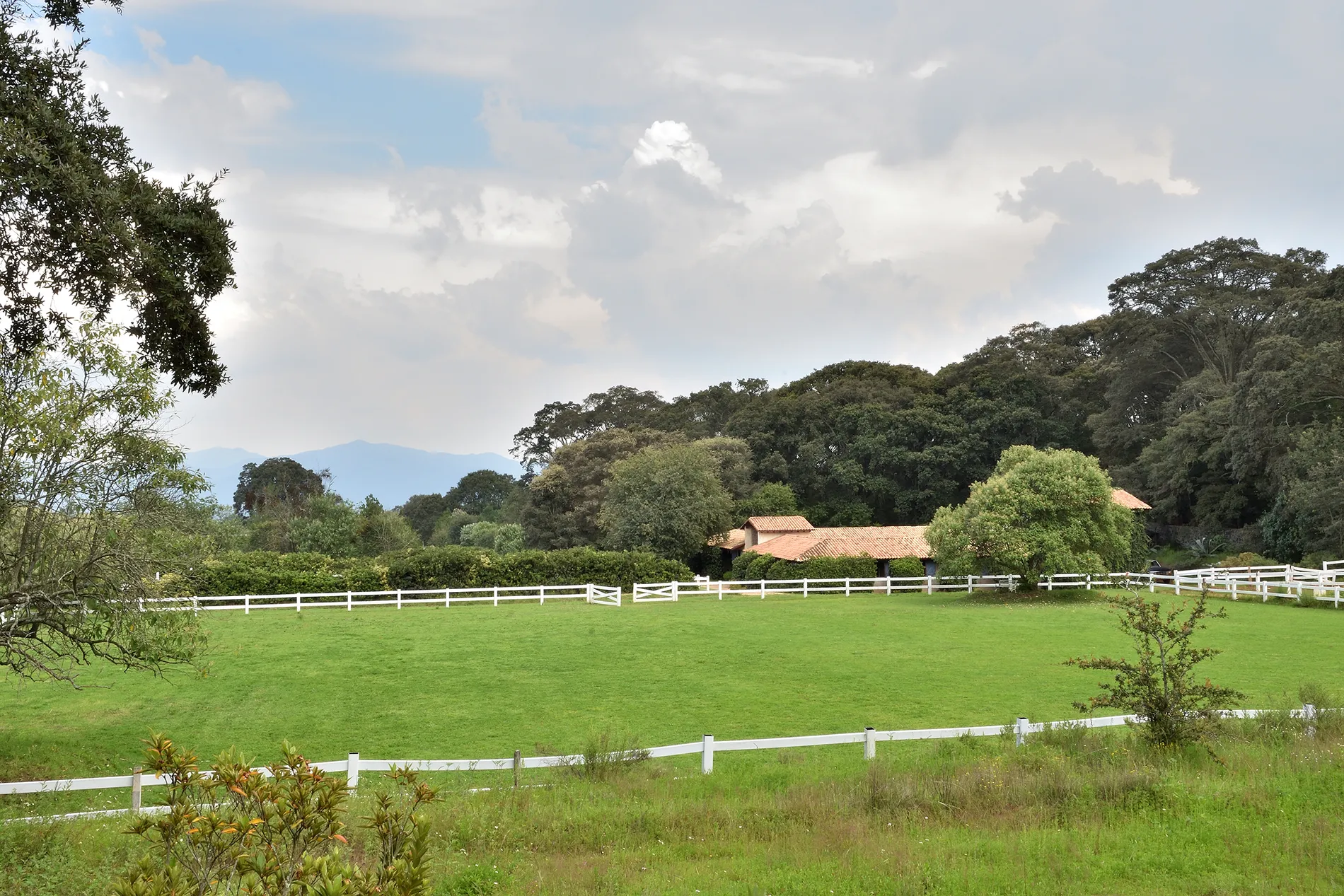 A ranch for sale in Mexico